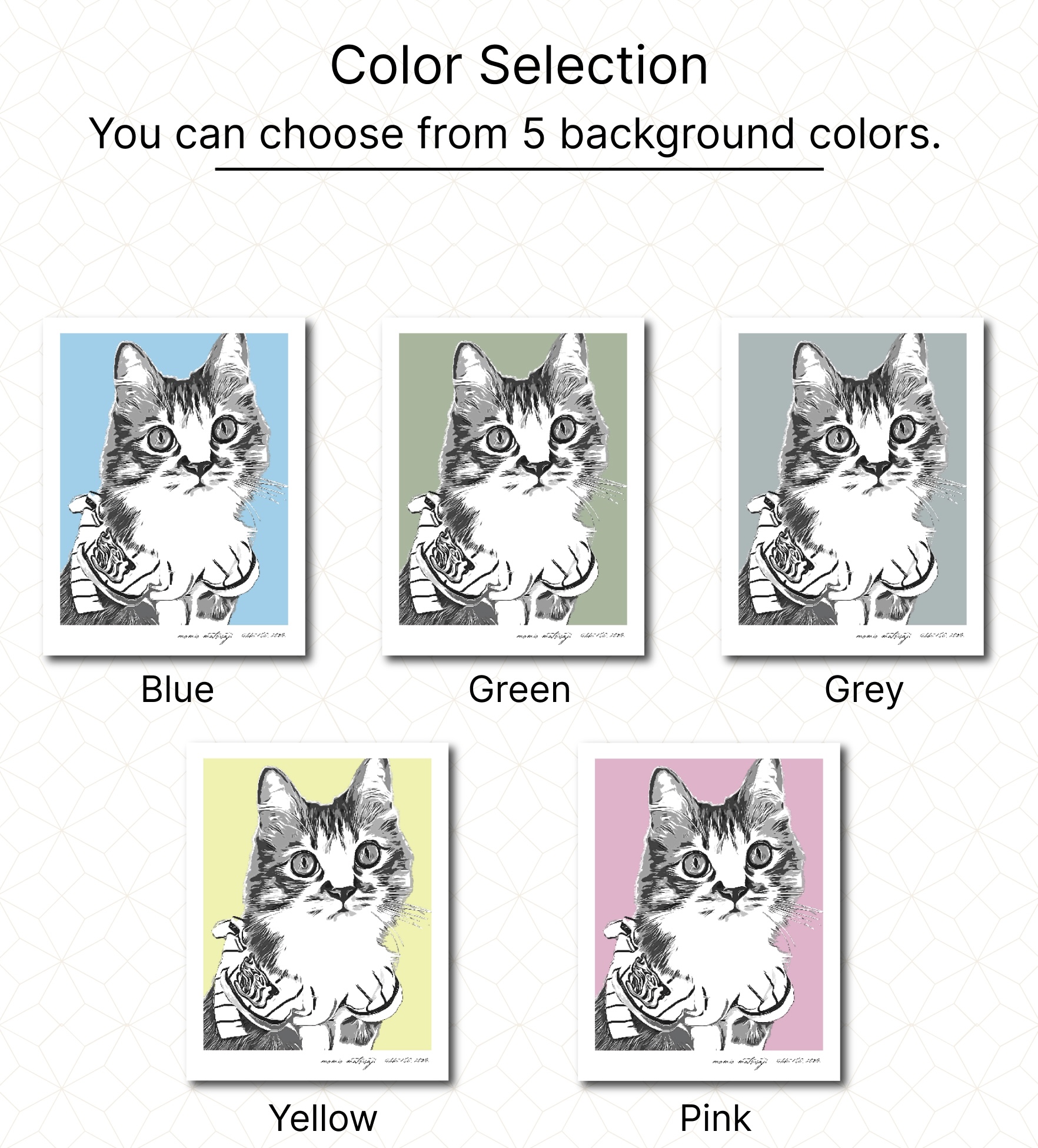 ColorSelection